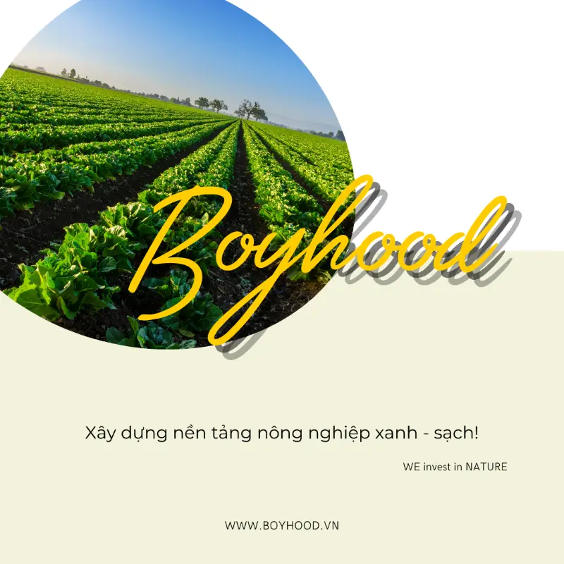 xay dung nen tang nong nghiep xanh sach boyhood